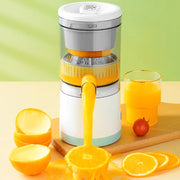 | Automatic Fruit Juicer