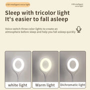 ShopNBuy | Smart Voice Control USB Light