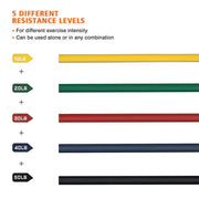 | Bodybuilding Resistance Bands